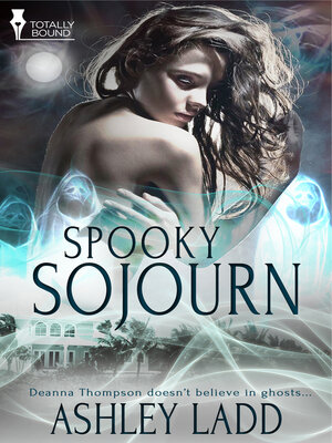 cover image of Spooky Sojourn